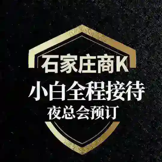 石家庄KTV资源频道 Telegram Channel Avatar