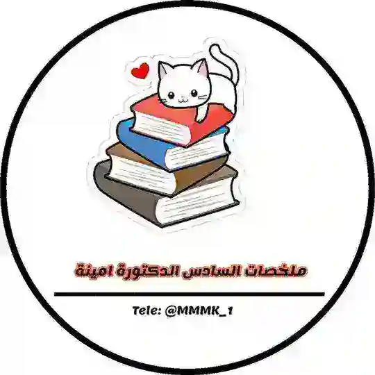 ملخصات السادس 2026 Telegram Channel Avatar