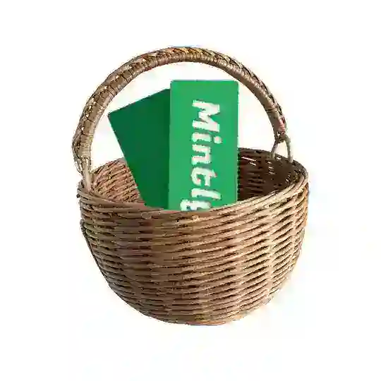 Mintly's Basket 🧺 Telegram Channel Avatar