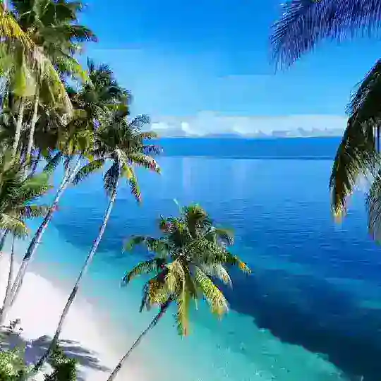 🌴Nature!🍁 Telegram Channel Avatar