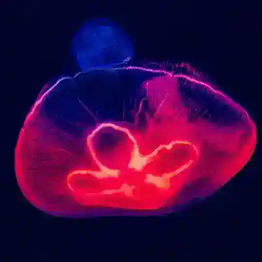 Nature & Biologie Telegram Channel Avatar