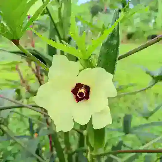 প্রাকৃতিক মনুরম Telegram Channel Avatar