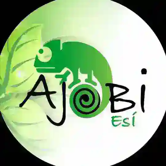 Canal - Oluwo Ifagbaiyin Agboola Telegram Channel Avatar