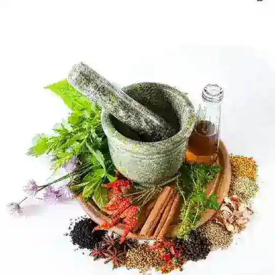 ഔഷധി Telegram channel