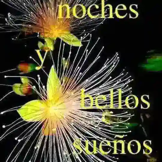 PLACER ARGENTINA Telegram Channel Avatar