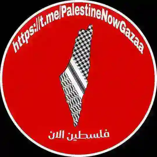 فلسطين الان🔻 Telegram Channel Avatar