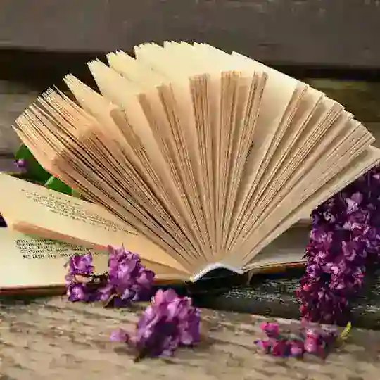 বইপোকা না PDF পোকা 📚 Telegram Channel Avatar