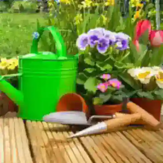 PermaKulturGarten Telegram Channel Avatar