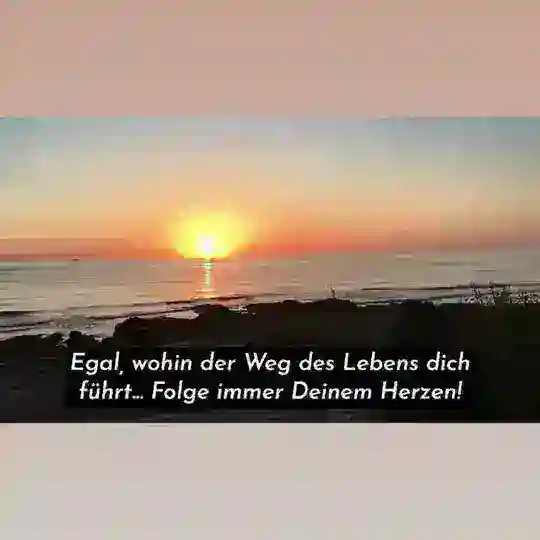 Unser 𝓝𝓕𝓡 💚 𝓝𝓔𝓣𝓩𝓦𝓔𝓡𝓚 𝓕𝓻𝓮𝓲𝓮𝓼 𝓡𝓮𝓲𝓼𝓮𝓃 verbindet - Webseite:http://www.https://Netzwerk-freiesreisen.eu Telegram Channel Avatar