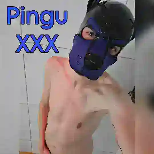 Pingu XXX Telegram Channel Avatar