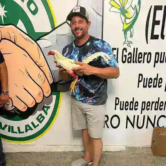 Gallos Ala De La Piedra Rafael Ortiz Camacho Telegram Channel Avatar