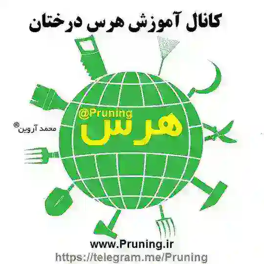 Pruning آموزش هرس درختان Telegram Channel Avatar