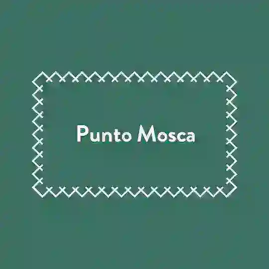 PuntoMosca Telegram Channel Avatar