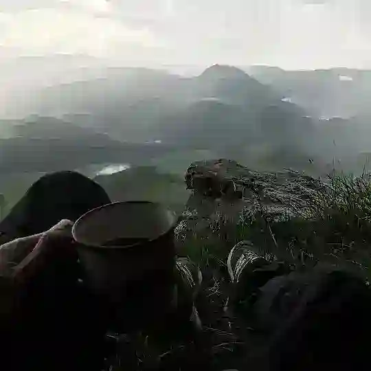 سورس ماثيو ( مغلق ) Telegram Channel Avatar