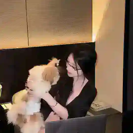 哈尔滨｜滕王阁 Telegram Channel Avatar