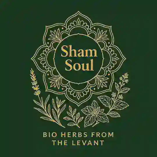 Sham Soul Telegram Channel Avatar