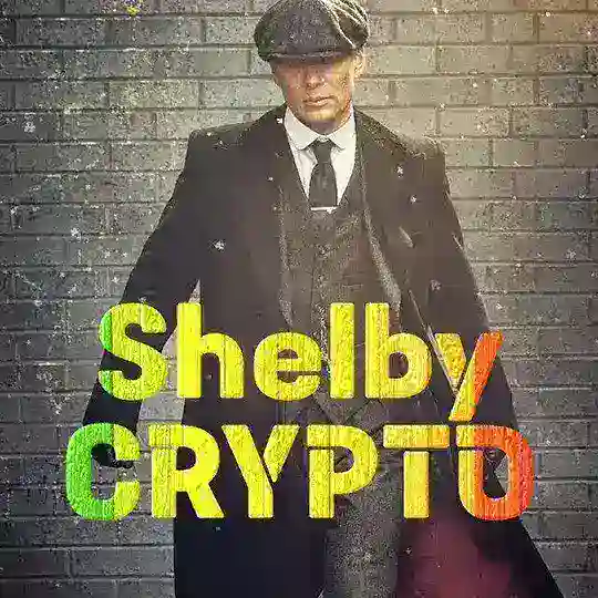 🇩🇪ShelbyCRYPTO67🇩🇪 Telegram Channel Avatar