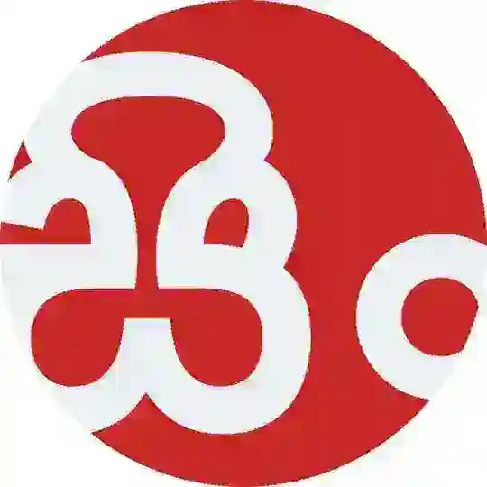 💠 SINHALA MOVIES 🎬 Telegram Channel Avatar