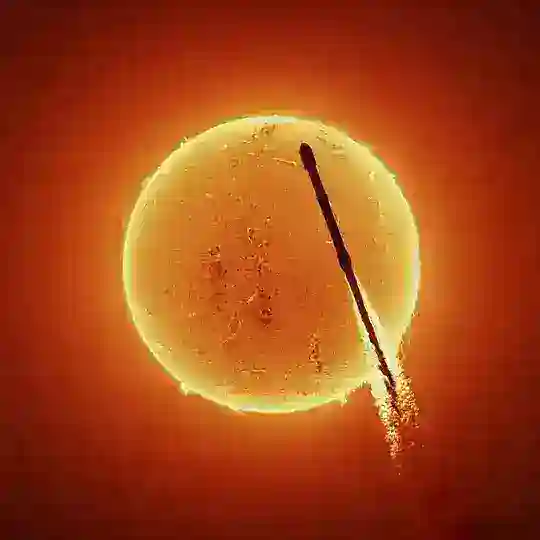 Sistema Solar Telegram Channel Avatar