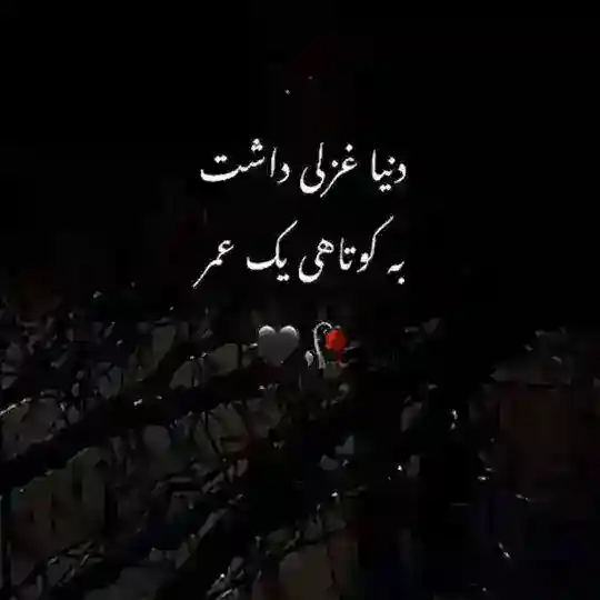 کانال بیوگرافـے Telegram Channel Avatar