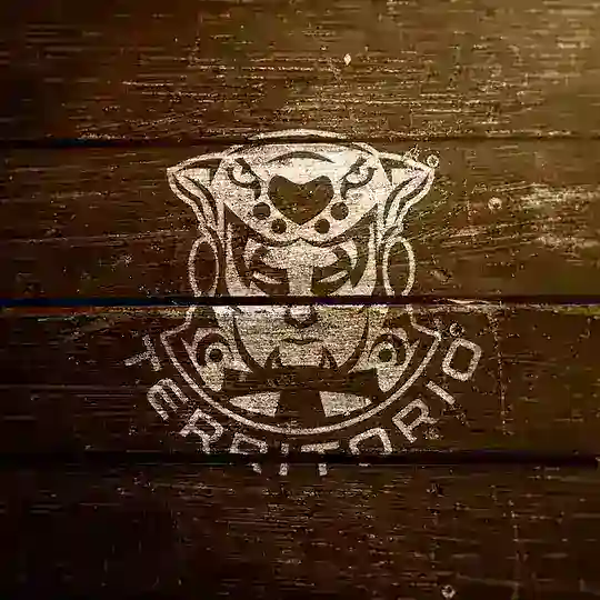 TerritorioUnlock | News️ Telegram Channel Avatar