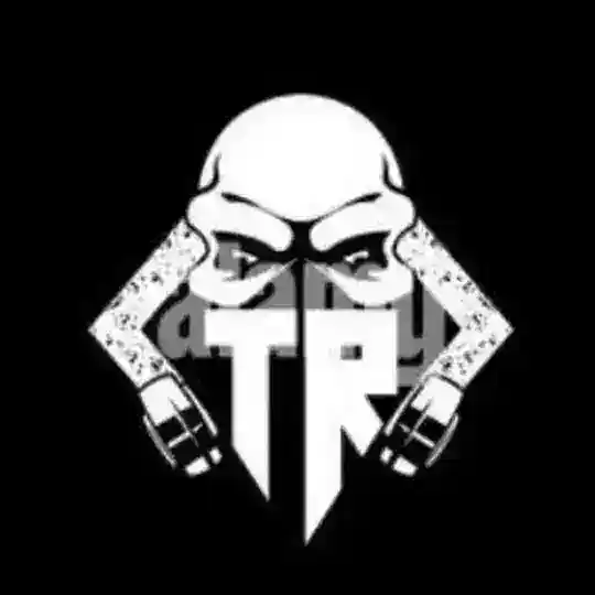 ᴛʜᴇ ʀᴏɴ ɴᴇᴛᴡᴏʀᴋ 🏴☠ Telegram Channel Avatar