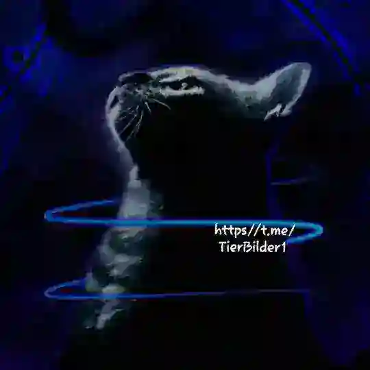 Tierbilder und Videos Telegram Channel Avatar