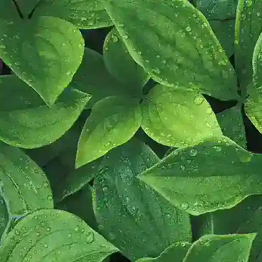 Tips Biologi SPM Telegram channel