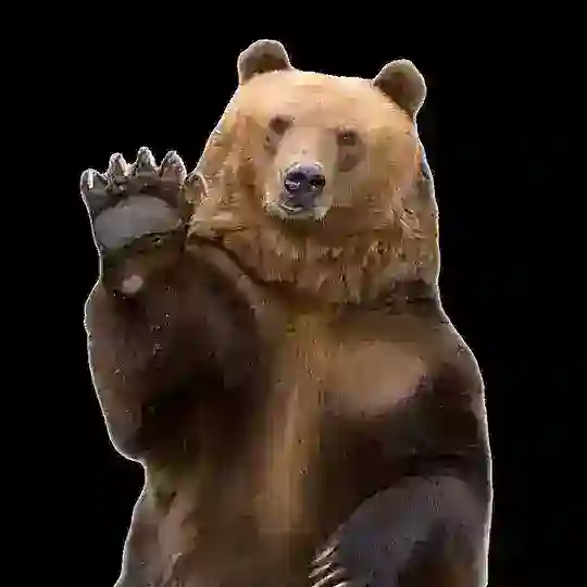 🐾UnerklärBär🐾 Telegram Channel Avatar