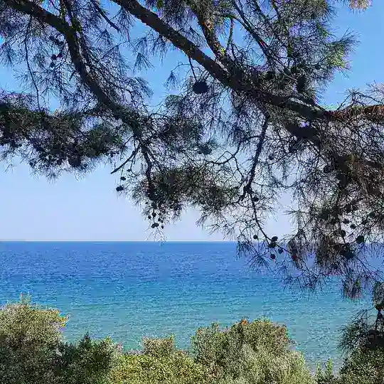 🇩🇪Glücklich😊🇺🇦Відпочин🌈ОК 🌐REISEBÜRO🌐 Telegram Channel Avatar