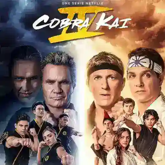 🇫🇷 COBRA KAI VF FRENCH SAISON 6 5 4 3 2 1 intégrale Telegram Channel Avatar