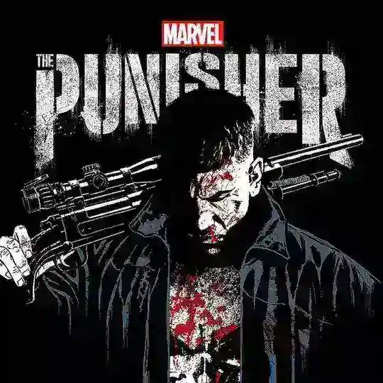 🇫🇷 THE PUNISHER SAISON 3 2 1 INTEGRALE VF FRENCH Telegram Channel Avatar