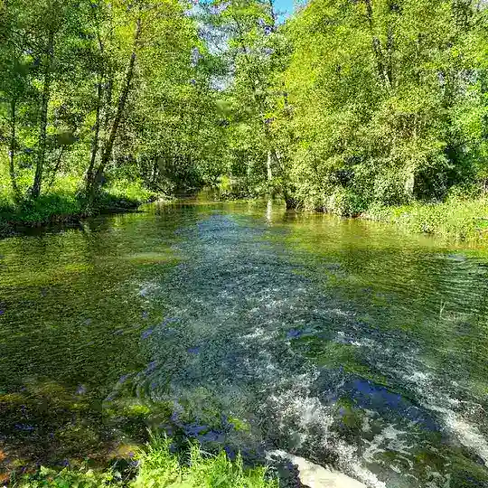 💚 VIA NATURA AKADEMIE - Zentrum & Akademie für Bewusstsein l Ernährung l Gesundheit l Heilung 💚 Telegram Channel Avatar