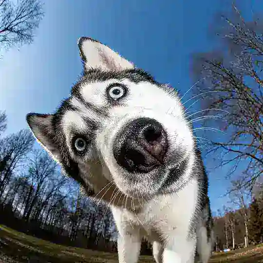 深夜影像研究所|精选合集 Telegram Channel Avatar