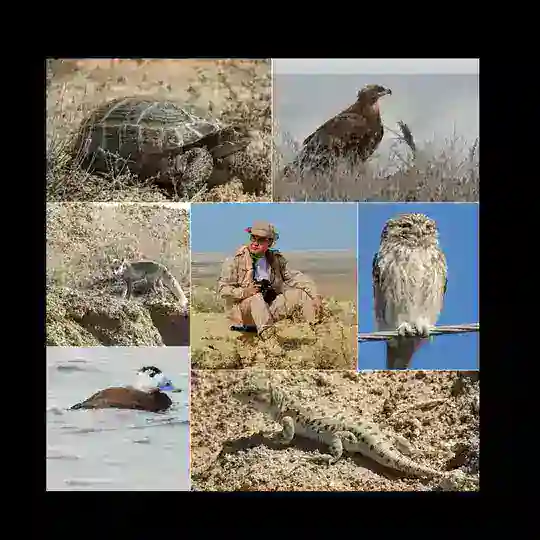 WILDLIFE OF KARAKALPAKSTAN Telegram Channel Avatar