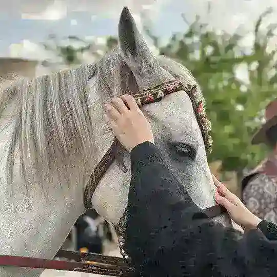 د شعر او ادب نړۍ🌱🥀 Telegram Channel Avatar