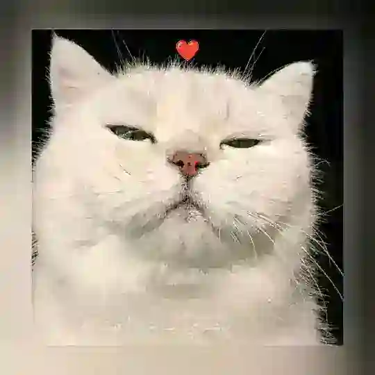 ملصقات استيكر تليجرام واتساب رياكشن Behairy - بحيري🔥 Telegram Channel Avatar