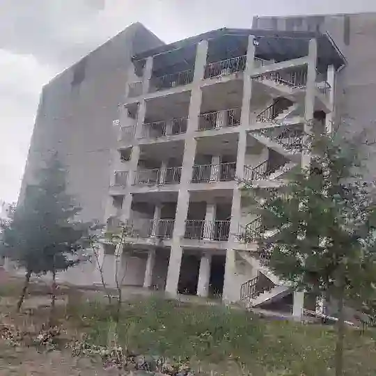 AASTU Community School (አአሳቴዩ የማኅበረሰብ ትምህርት ቤት) Telegram Channel Avatar