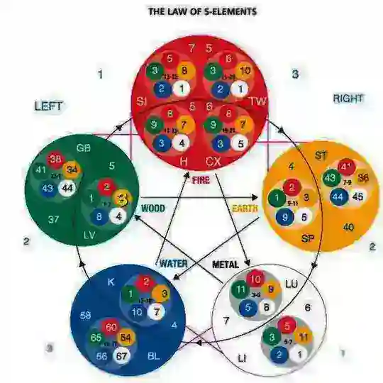 All India Acupuncture Therapist Telegram Channel Avatar