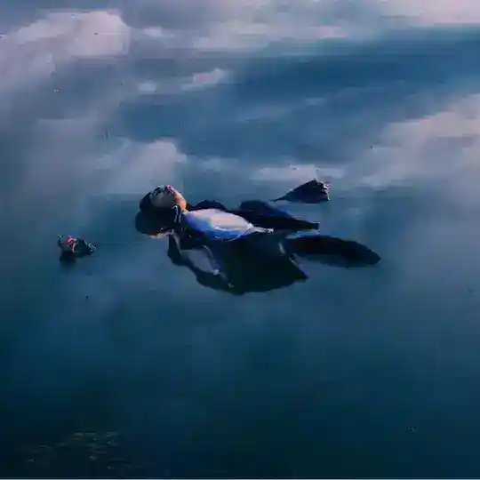 alenkafish Telegram Channel Avatar