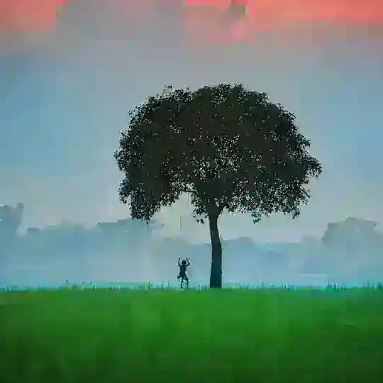 🍃 প্রকৃতির ভালোবাসা 🌱 Telegram Channel Avatar