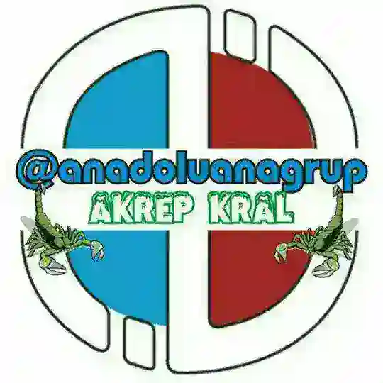 Anadolu Ana Grup Telegram Channel Avatar