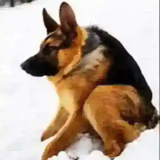 Андрюха.mp4 Telegram channel