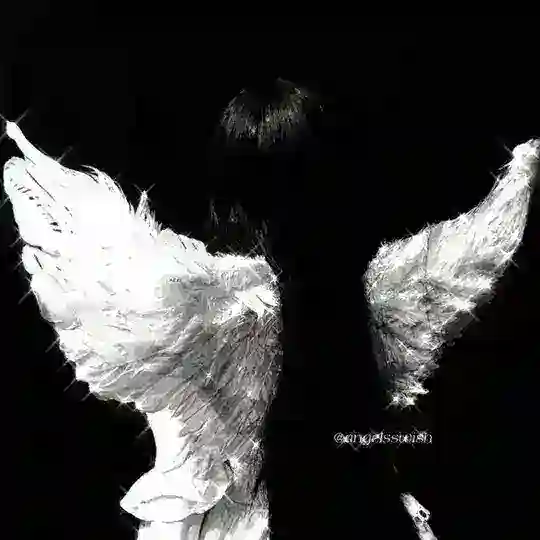 ⟡ angel's wish | переходник Telegram Channel Avatar