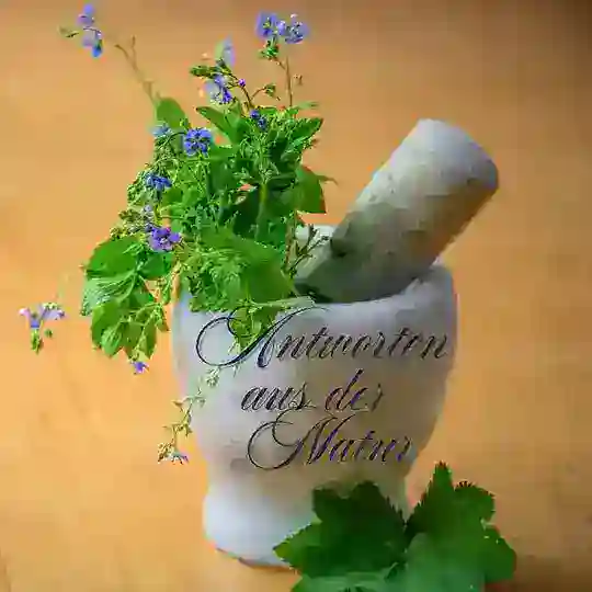 Antworten aus der Natur 🌿 Telegram Channel Avatar
