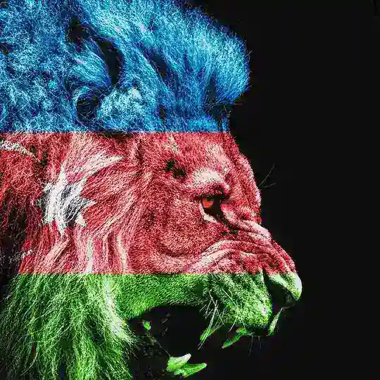 🇦🇿Azeri Muzik🇦🇿 Telegram Channel Avatar