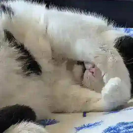 плейлист для ху*вого дня 💀 Telegram Channel Avatar