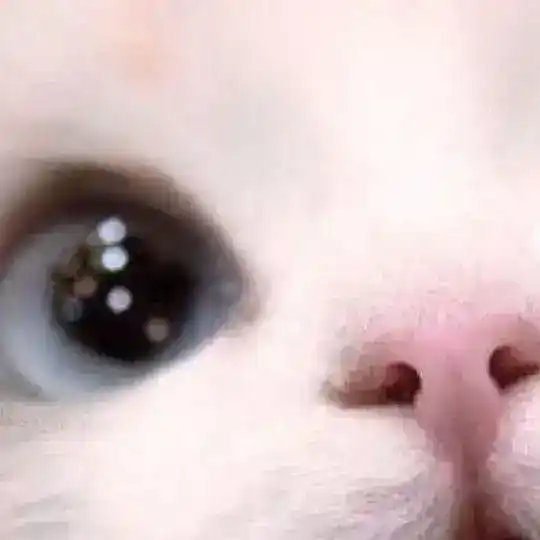 йзй.‧º·˚🎐🪷 Telegram Channel Avatar