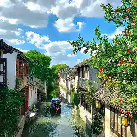 苏州新文化报告鉴赏 Telegram Channel Avatar