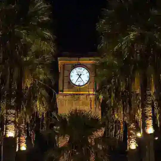 براء (مَـوَاجِـیۡـد) Telegram Channel Avatar